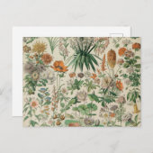 ヴィンテージフラワーズイラストレーションアドルフミロ ポストカード (正面/裏面)