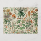 ヴィンテージフラワーズイラストレーションアドルフミロ ポストカード (正面)