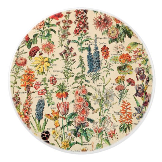 ヴィンテージフラワーズバイアドルフミロ セラミックノブ (正面)