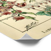 ヴィンテージフラワーズバイアドルフミロ ポスター (角)