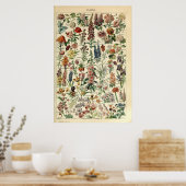 ヴィンテージフラワーズバイアドルフミロ ポスター (キッチン)