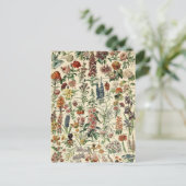 ヴィンテージフラワーズバイアドルフミロ ポストカード (スタンド正面)