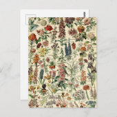 ヴィンテージフラワーズバイアドルフミロ ポストカード (正面/裏面)