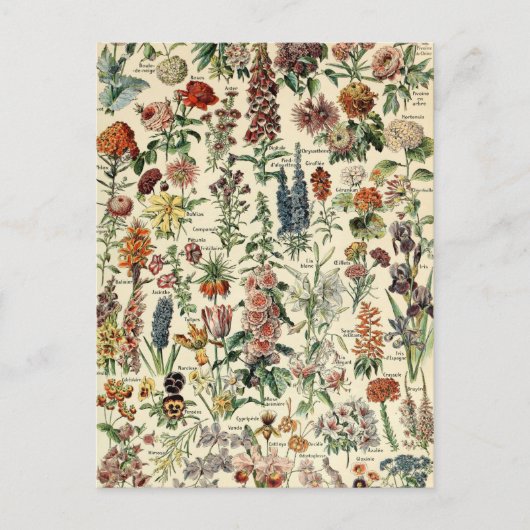 ヴィンテージフラワーズバイアドルフミロ ポストカード (正面)