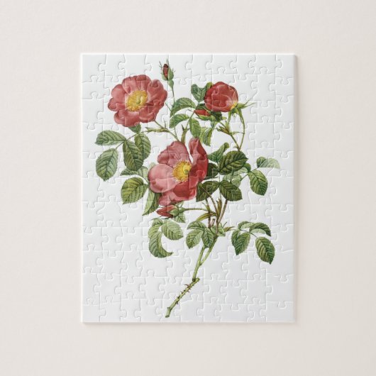 ヴィンテージフラワーズフローラレッドローズオブラブズバイルドゥート ジグソーパズル (縦)