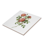 ヴィンテージフラワーズフローラレッドローズオブラブズバイルドゥート タイル (側面)