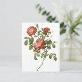 ヴィンテージフラワーズフローラレッドローズオブラブズバイルドゥート ポストカード (スタンド正面)