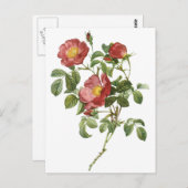 ヴィンテージフラワーズフローラレッドローズオブラブズバイルドゥート ポストカード (正面/裏面)