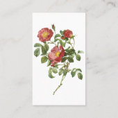 ヴィンテージフラワーズフローラレッドローズオブラブズバイルドゥート 名刺 (裏面)