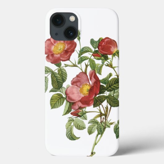 ヴィンテージフラワーズフローラレッドローズオブラブズバイルドゥート Case-Mate iPhoneケース (裏面)