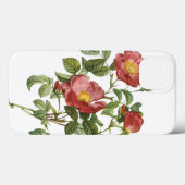 ヴィンテージフラワーズフローラレッドローズオブラブズバイルドゥート Case-Mate iPhoneケース (裏面 (横))