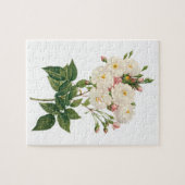 ヴィンテージフラワーズフローラ赤面ワノネットバラルドゥート ジグソーパズル (横)