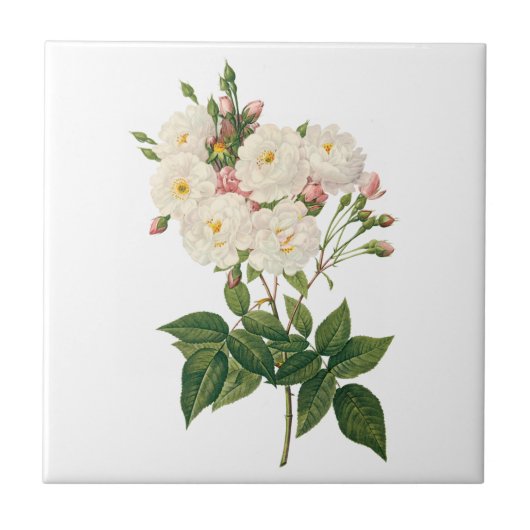 ヴィンテージフラワーズフローラ赤面ワノネットバラルドゥート タイル (正面)