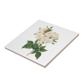 ヴィンテージフラワーズフローラ赤面ワノネットバラルドゥート タイル (側面)