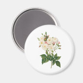 ヴィンテージフラワーズフローラ赤面ワノネットバラルドゥート マグネット (正面/裏面)
