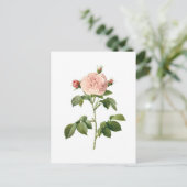 ヴィンテージフラワーピンクローズバイリドゥートポストカード ポストカード (スタンド正面)