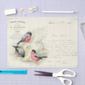 ヴィンテージフランスのとラブレター 薄葉紙 (クラフト)