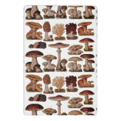 ヴィンテージフランスのの木版植物体 ミニクリップボード (裏面)