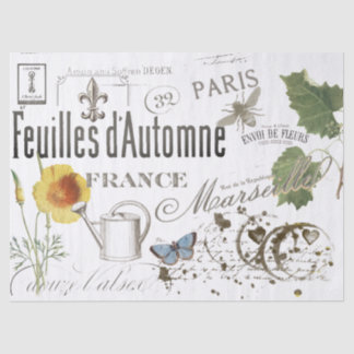 ヴィンテージフランスのの植物性ビーフローラの分離 薄葉紙