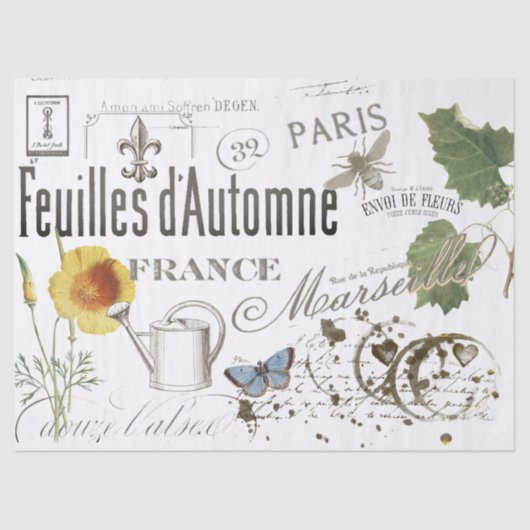 ヴィンテージフランスのの植物性ビーフローラの分離 薄葉紙 (正面)