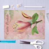 ヴィンテージフランスのはがきマグノリア 薄葉紙 (クラフト)