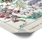 ヴィンテージフランスのアドルフェミロフラワーズ ポスター (角)