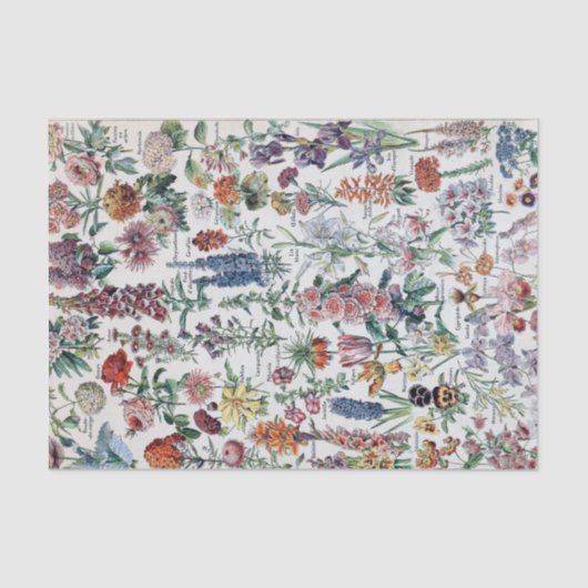 ヴィンテージフランスのアドルフェミロフラワーズ 薄葉紙 (正面)