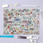 ヴィンテージフランスのアドルフェミロフラワーズ 薄葉紙 (クラフト)