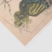 ヴィンテージフランスのアビクトリアンドハスパリファッション 薄葉紙 (詳細)