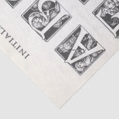 ヴィンテージフランスのアルファベ図解入りの、写真付きのットクラフト 薄葉紙 (詳細)