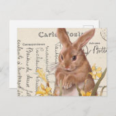 ヴィンテージフランスのイースターバニーDaffodilはがき ポストカード (正面/裏面)