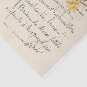 ヴィンテージフランスのイースターラビットダッフォディルハガキ 薄葉紙 (詳細)