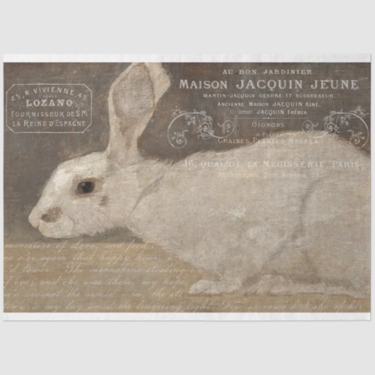 ヴィンテージフランスのウサギとエフエマナデクページ 薄葉紙 (正面)