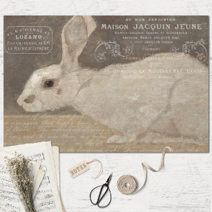 ヴィンテージフランスのウサギとエフエマナデクページ 薄葉紙