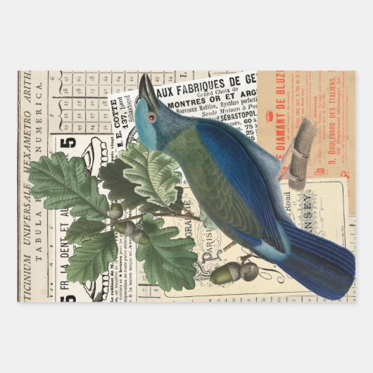 ヴィンテージフランスのエフエマデコップコラージュ3 ラッピングペーパーシート (正面3)