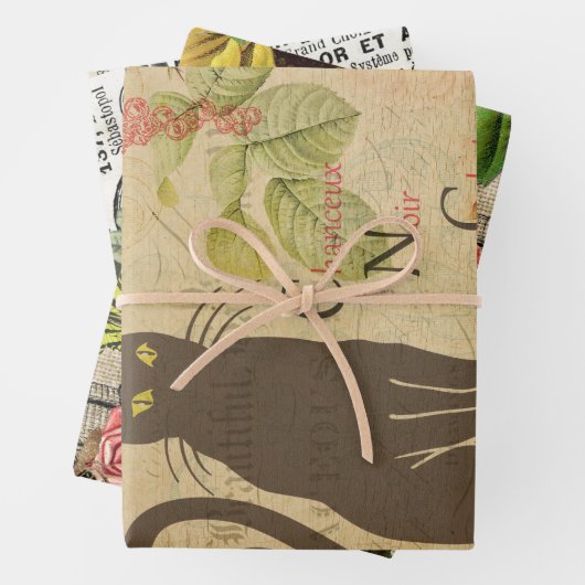 ヴィンテージフランスのエフエマデコップコラージュ3 ラッピングペーパーシート (インサイチュ)