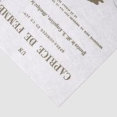 ヴィンテージフランスのオペラ図解入りの、写真付きのタイトルページ 薄葉紙 (詳細)