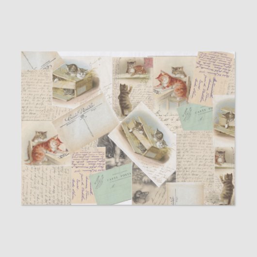 ヴィンテージフランスのキャットハガキティッシュペーパー 薄葉紙 (正面)