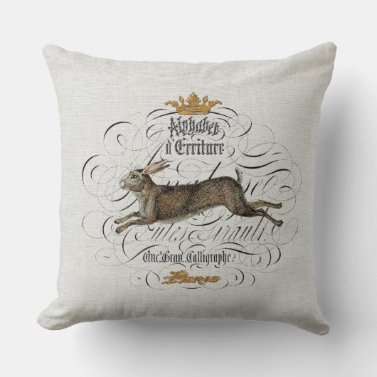 ヴィンテージフランスのグラフィック装飾用クッション クッション (正面)