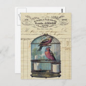 ヴィンテージフランスのシックビクトリアンバードケージラブバード ポストカード (正面/裏面)