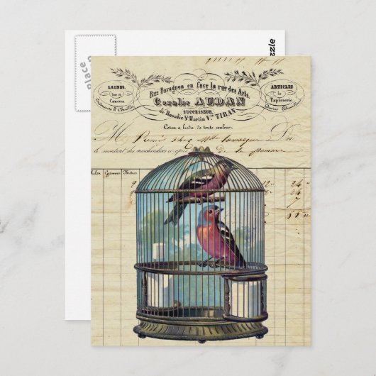 ヴィンテージフランスのシックビクトリアンバードケージラブバード ポストカード (正面/裏面)