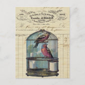 ヴィンテージフランスのシックビクトリアンバードケージラブバード ポストカード (正面)