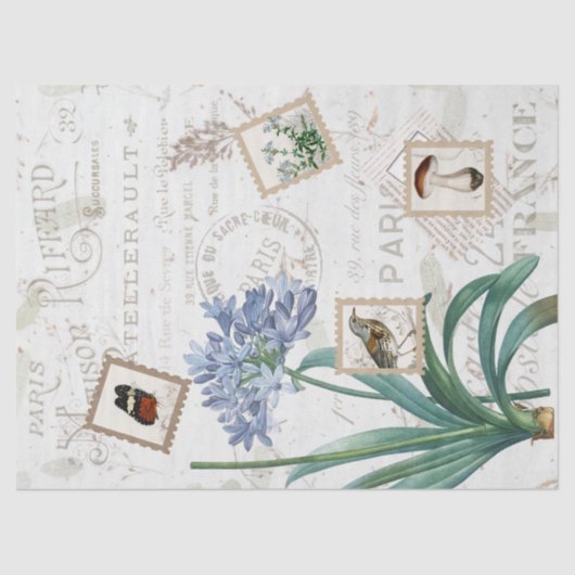 ヴィンテージフランスのスクリプト自然花鳥茸 薄葉紙 (正面)