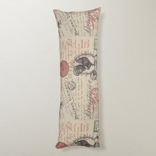 ヴィンテージフランスのス書パリスルースタータイポグラフィ ボディピロー (裏面 (縦))