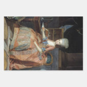 ヴィンテージフランスのデカップラッピング紙 ラッピングペーパーシート (正面3)