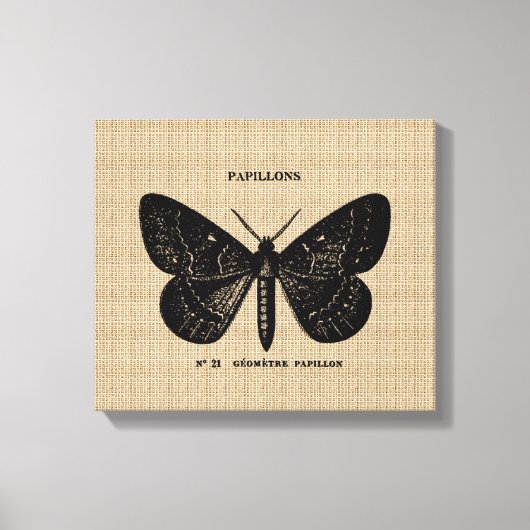 ヴィンテージフランスのバタフライオンキャンバス キャンバスプリント (正面)