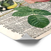 ヴィンテージフランスのバラおよび鳥類辞書 ポスター (角)