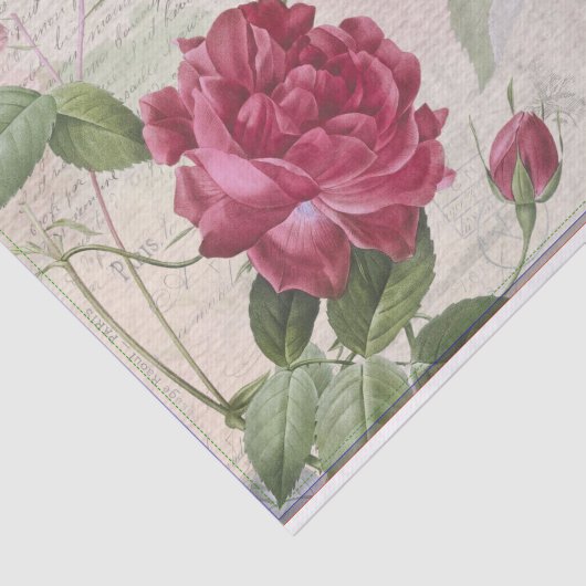 ヴィンテージフランスのバラエフェメラデクページ 薄葉紙 (詳細)