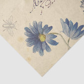 ヴィンテージフランスのバラレディービーフラワーカルテポストエール 薄葉紙 (詳細)