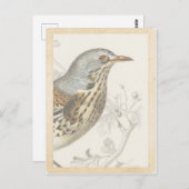 ヴィンテージフランスのバードオンブランチジャーナルカード ポストカード (正面/裏面)